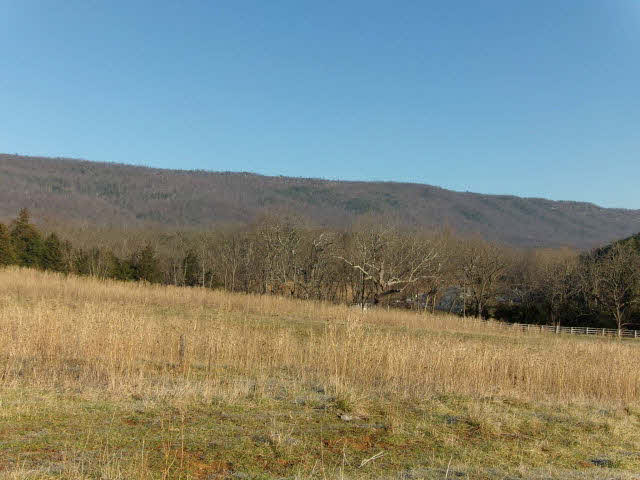 10982 Back Road Maurertown, VA 22644 - Photo 3 of 35 a view of mountain with lake view