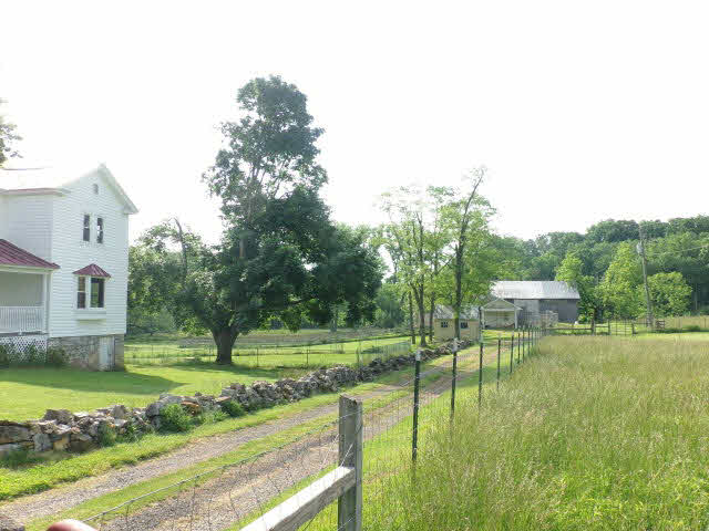 10982 Back Road Maurertown, VA 22644 - Photo 31 of 35 a view of a house with a yard