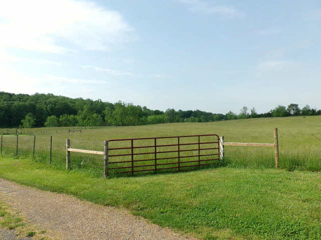 10982 Back Road Maurertown, VA 22644 - Photo 32 of 35 a view of a lake with a garden