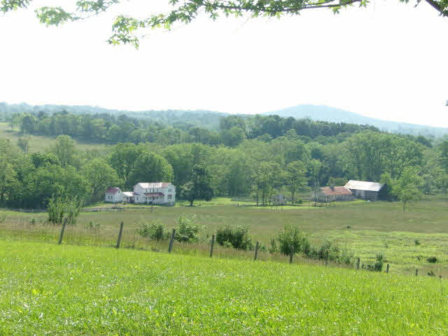 10982 Back Road Maurertown, VA 22644 - Photo 33 of 35 a view of a big yard with large trees
