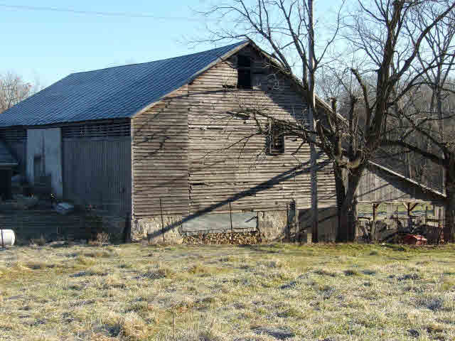 10982 Back Road Maurertown, VA 22644 - Photo 6 of 35 a backyard of a house
