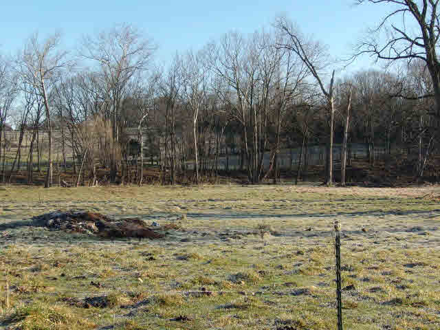 10982 Back Road Maurertown, VA 22644 - Photo 7 of 35 a view of a backyard