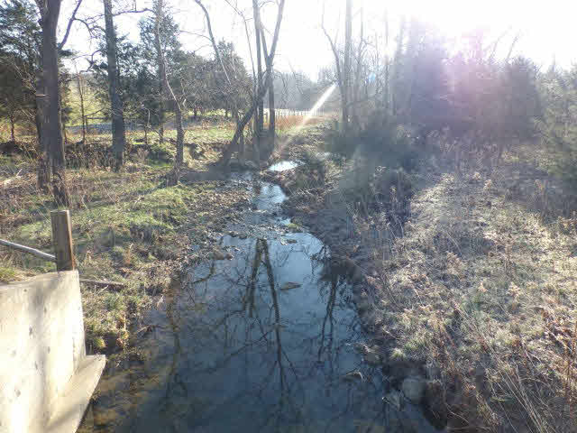 10982 Back Road Maurertown, VA 22644 - Photo 9 of 35 a view of a yard with plants and trees