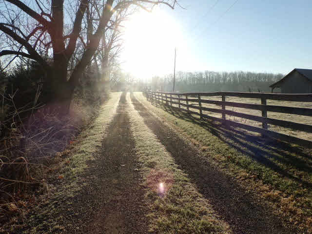 10982 Back Road Maurertown, VA 22644 - Photo 10 of 35 a view of a yard with wooden fence