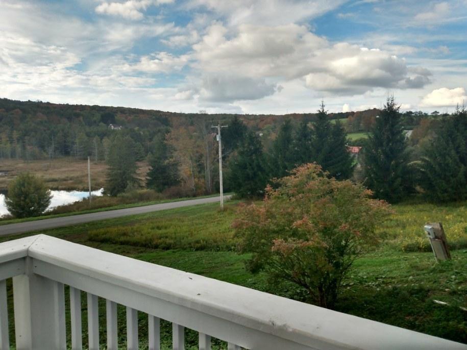 564 Ideuma Road Unadilla, NY 13849 - Photo 10 of 24