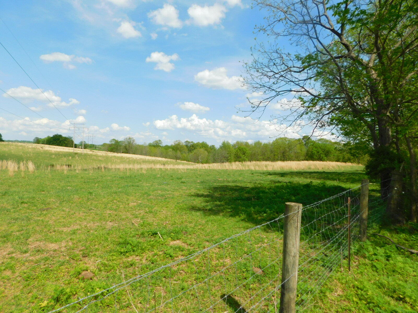 0 Robinson Road Cynthiana, KY 41031 - Photo 9 of 15 Gallery Image 9