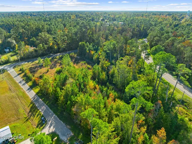 $21,500 | Tbd Pear Street, Wewahitchka, FL 32465