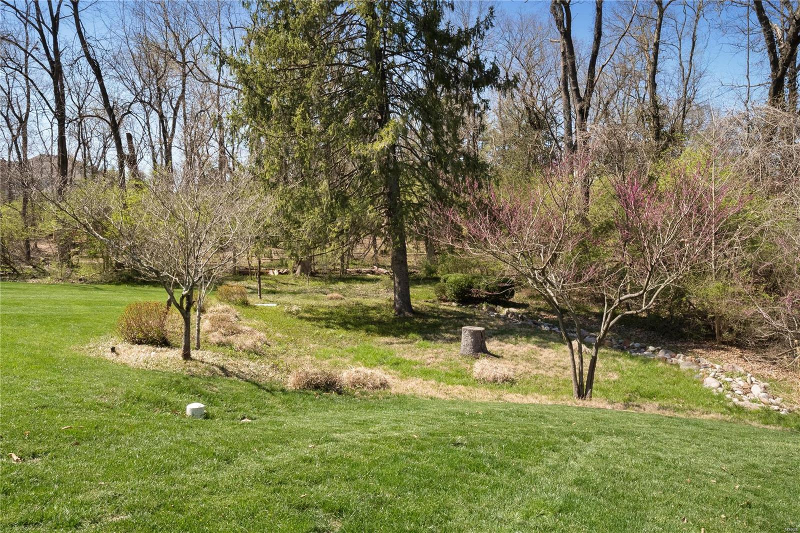 9741 Litzsinger Road Ladue, MO 63124 - Photo 49 of 54 Gallery Image 49
