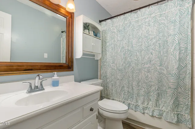 a bathroom with a sink a toilet and shower curtain