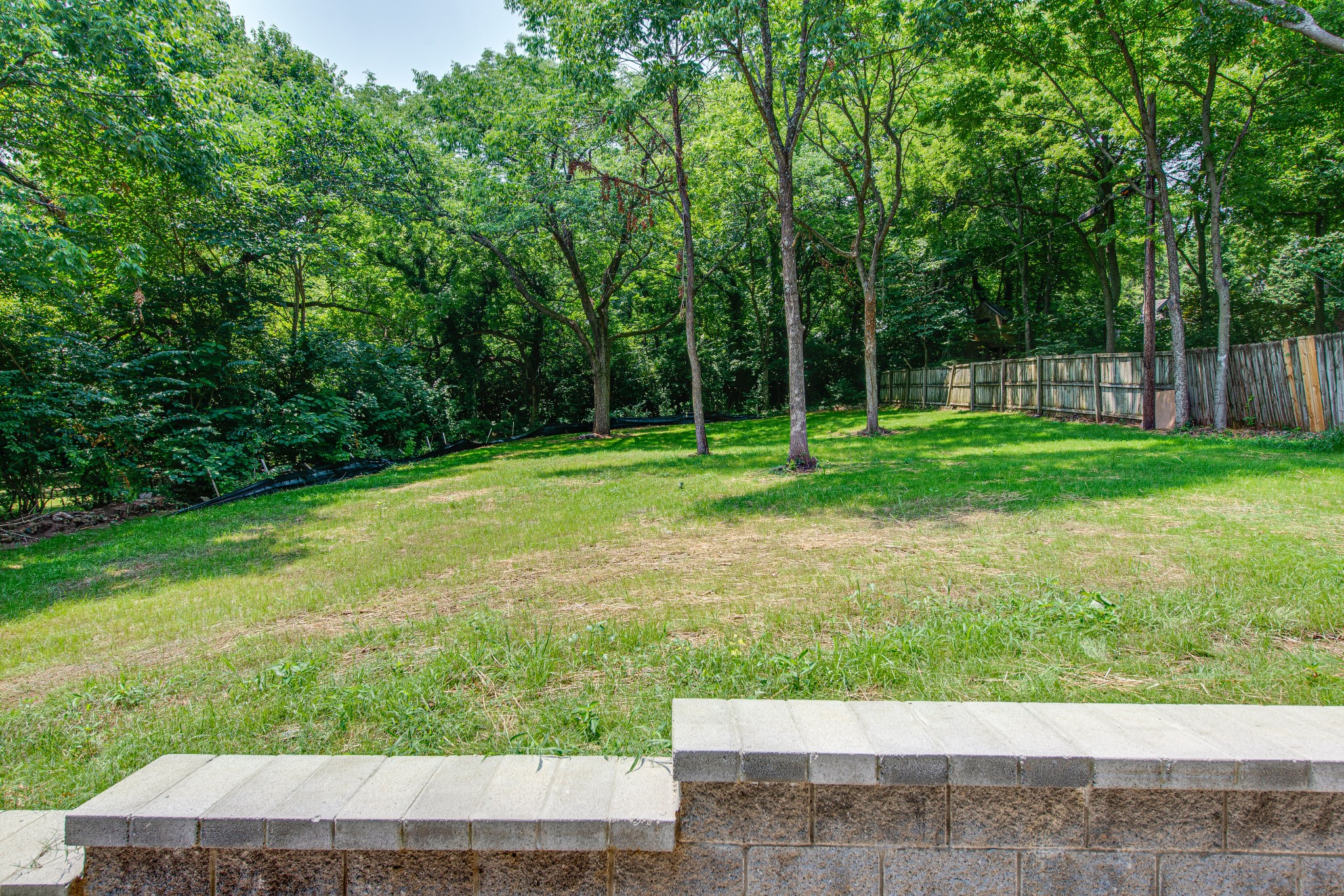 2111 Natchez Trace Nashville, TN 37212 - Photo 34 of 41 a view of a backyard with large trees