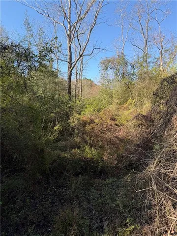 $360,000 | 0 Honeysuckle Road, Bush, LA 70431