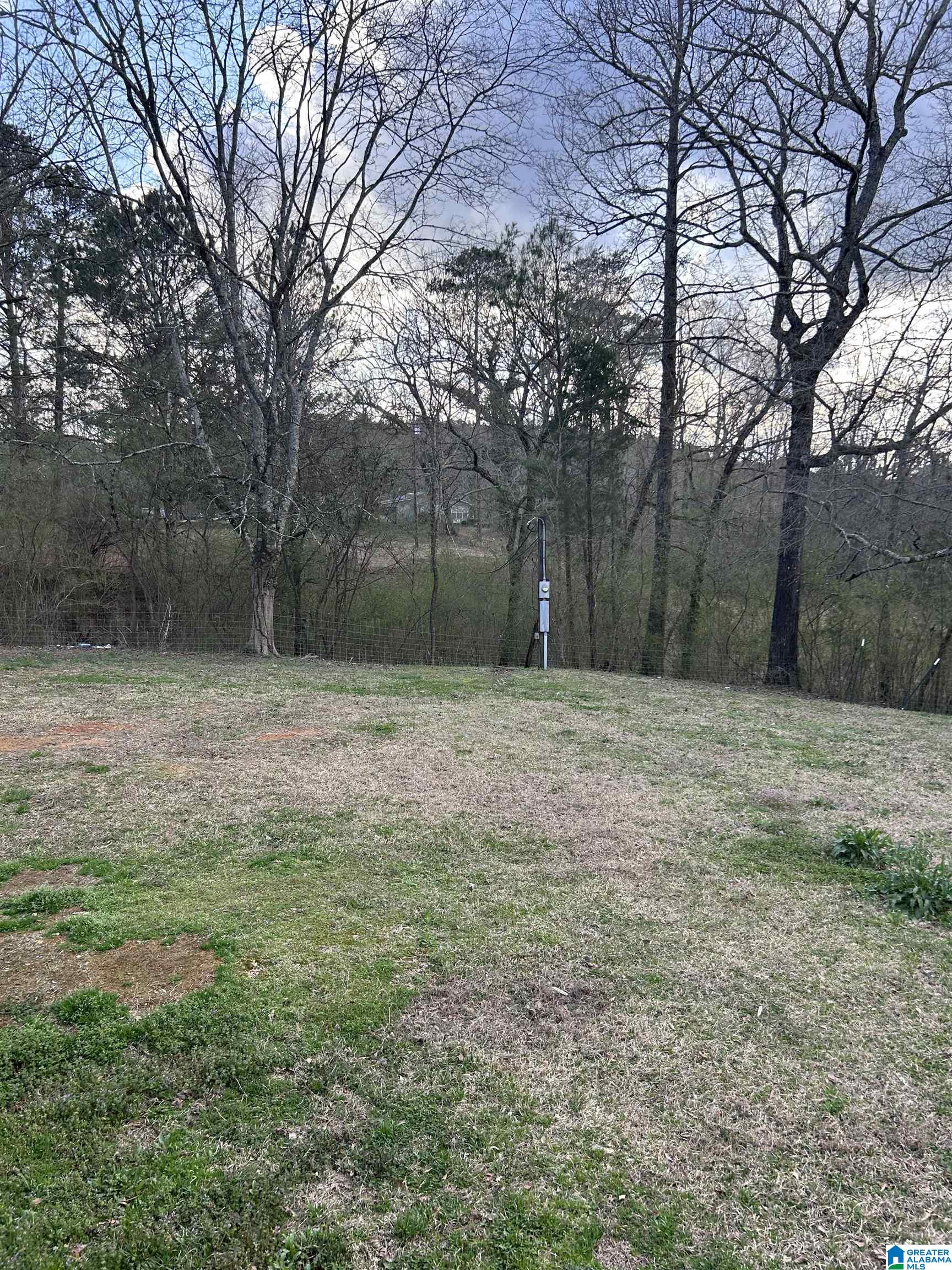 7846 Bradford Road Pinson, AL 35126 - Photo 5 of 22