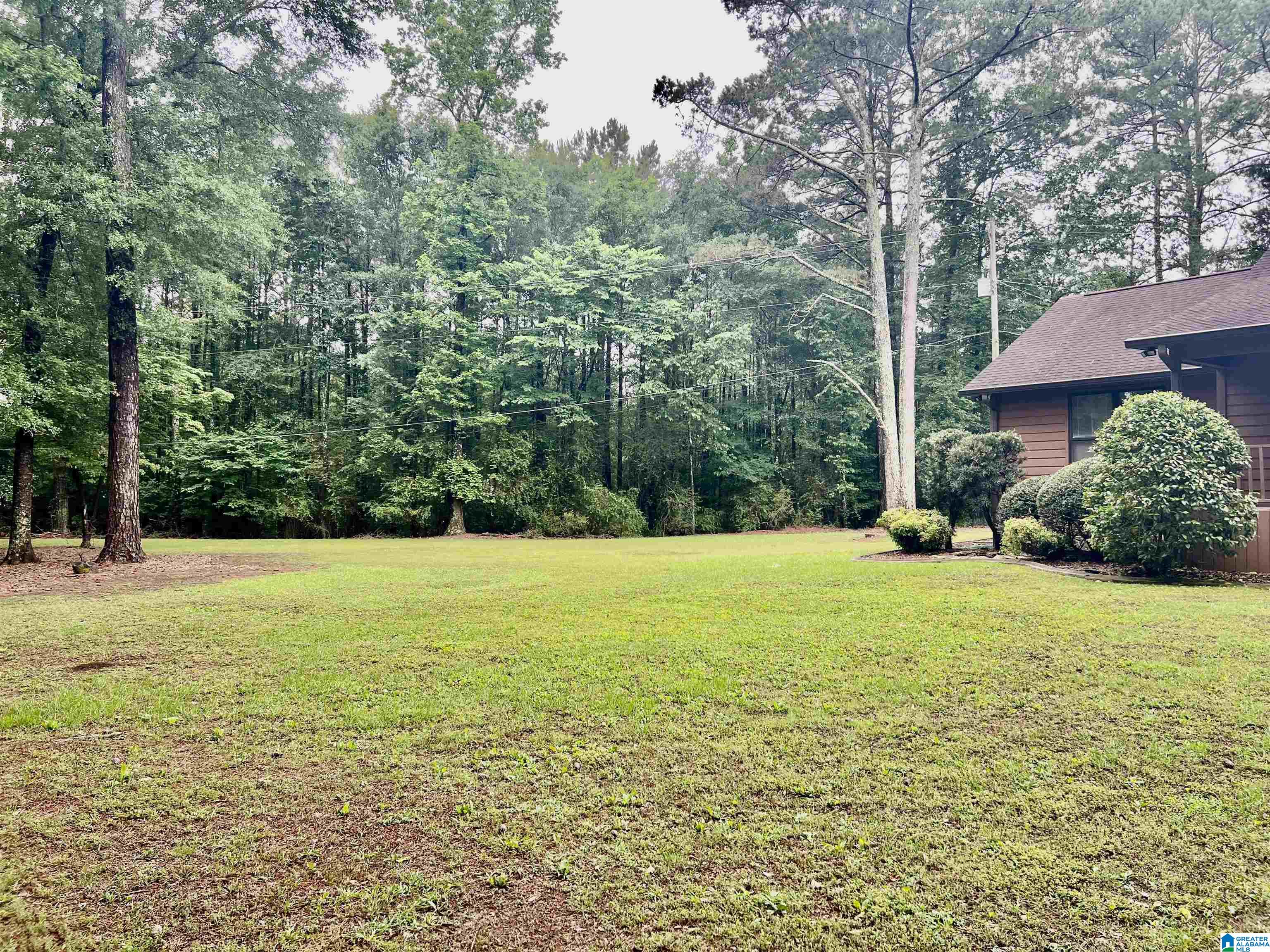 8950 Stouts Road Kimberly, AL 35091 - Photo 4 of 47