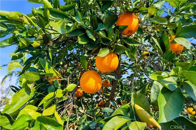 $680,000 | 10620 Gemini Drive, Riverside, CA 92503