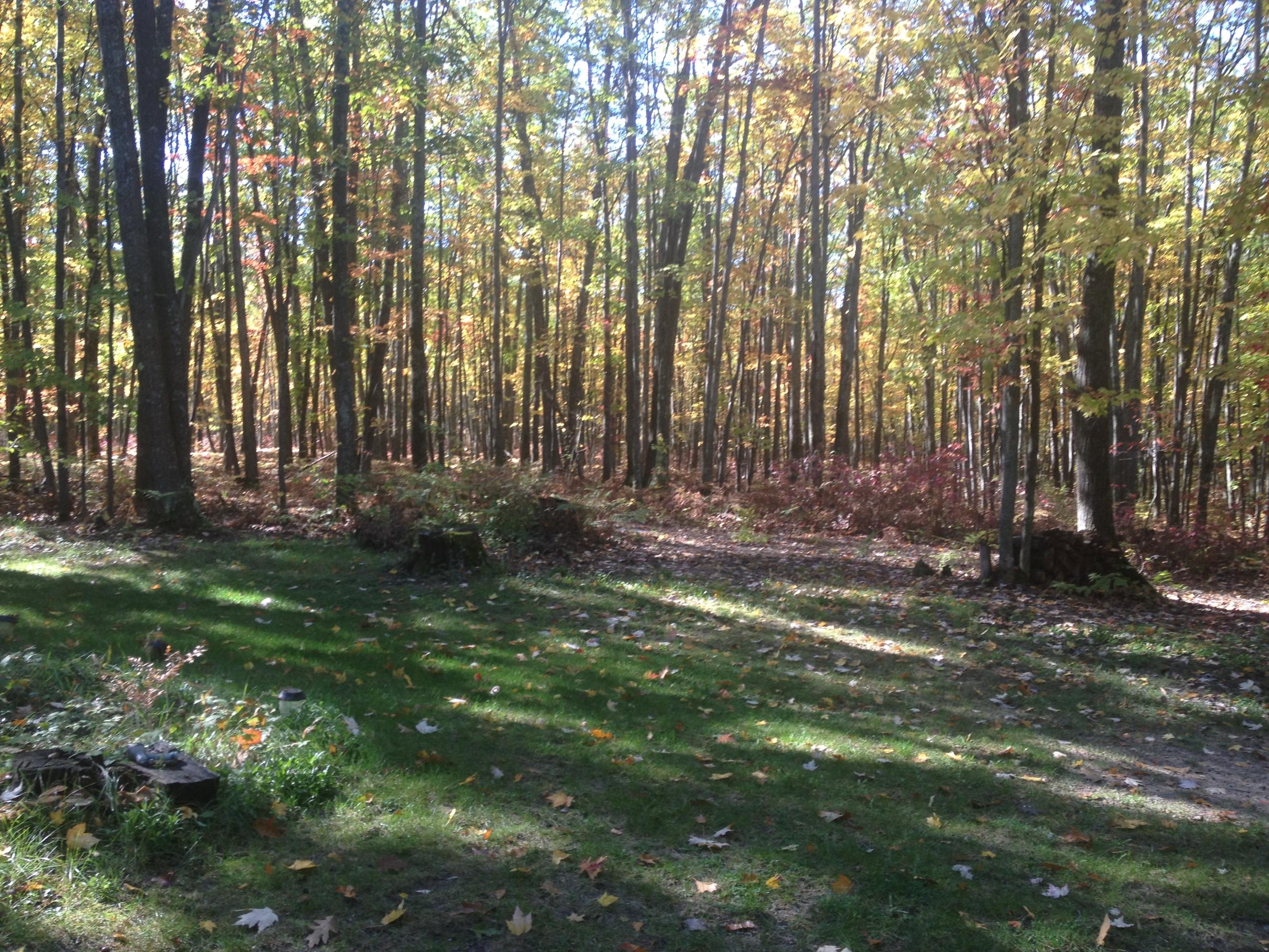 6970 Klein Road Hillman, MI 49746 - Photo 30 of 31 Gallery Image 30