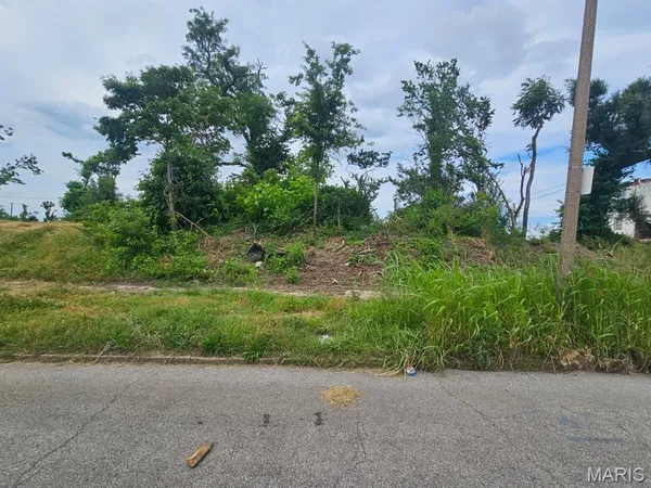 $10,000 | 4523 Maffitt Avenue, St. Louis, MO 63113