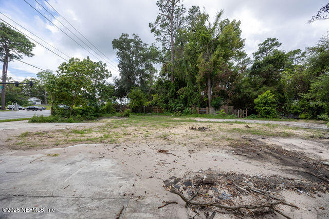 3724 Hendricks Avenue Jacksonville, FL 32207 - Photo 11 of 25 a view of a yard with a tree