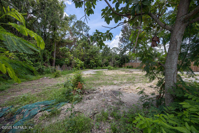 3724 Hendricks Avenue Jacksonville, FL 32207 - Photo 5 of 25 a view of a field with a tree