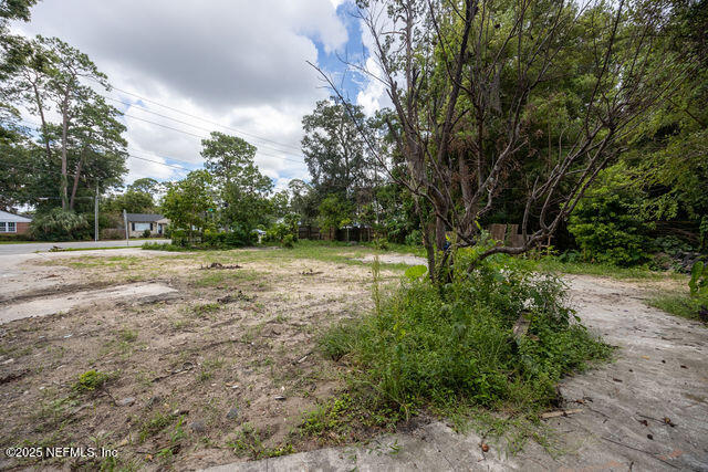 3724 Hendricks Avenue Jacksonville, FL 32207 - Photo 8 of 25 a view of outdoor space with trees all around