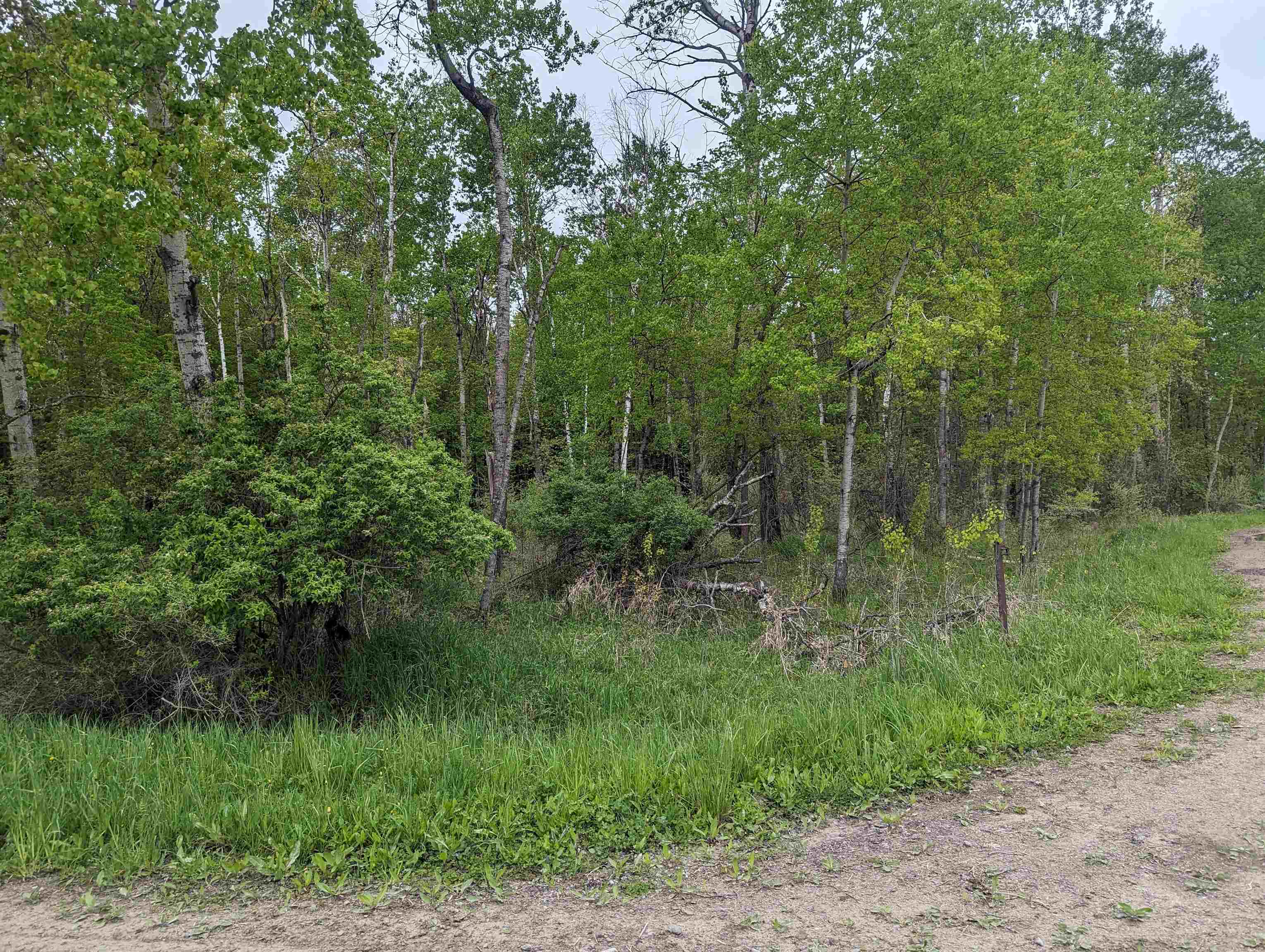 N/a Lentner Road Turner, MI 48765 - Photo 8 of 10 1922242-53d96216-c371-49ae-8bfd-6871995b6aee.JPG