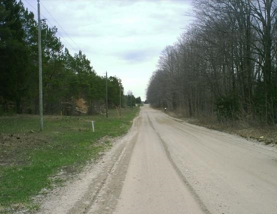 303 East Simpson Road Mancelona, MI 49659 - Photo 4 of 8 1781873-3.JPG