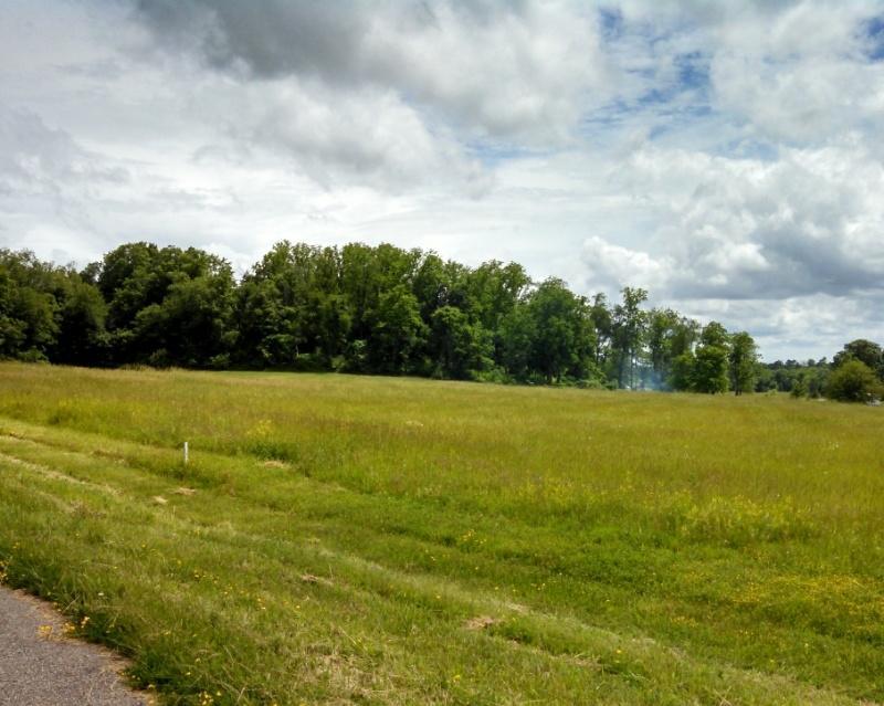 105 Whitetail Ridge Way Hebron, OH 43025 - Photo 3 of 4