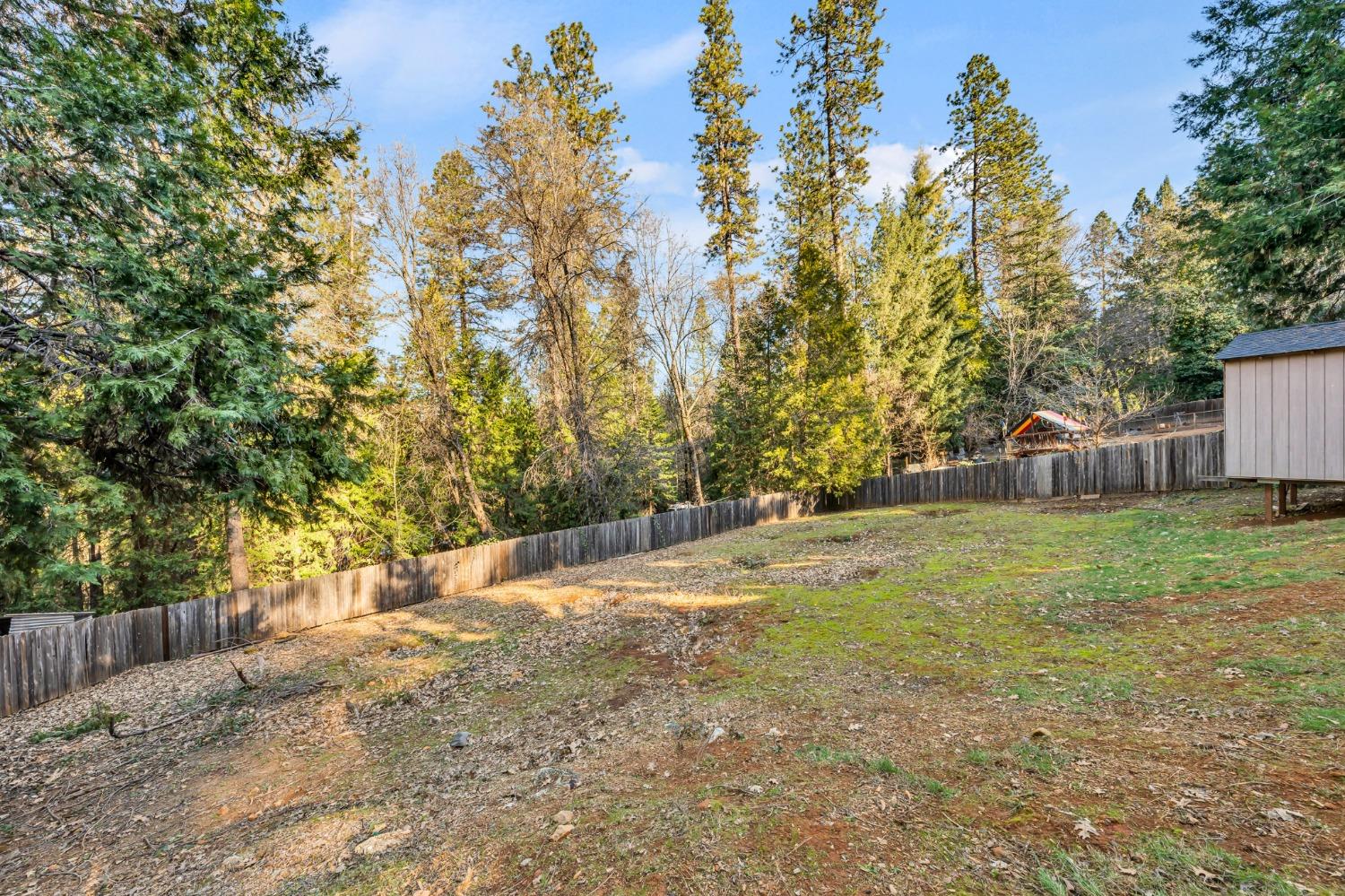 10092 Smith Road Grass Valley, CA 95949 - Photo 50 of 58 a backyard of a house with a trees