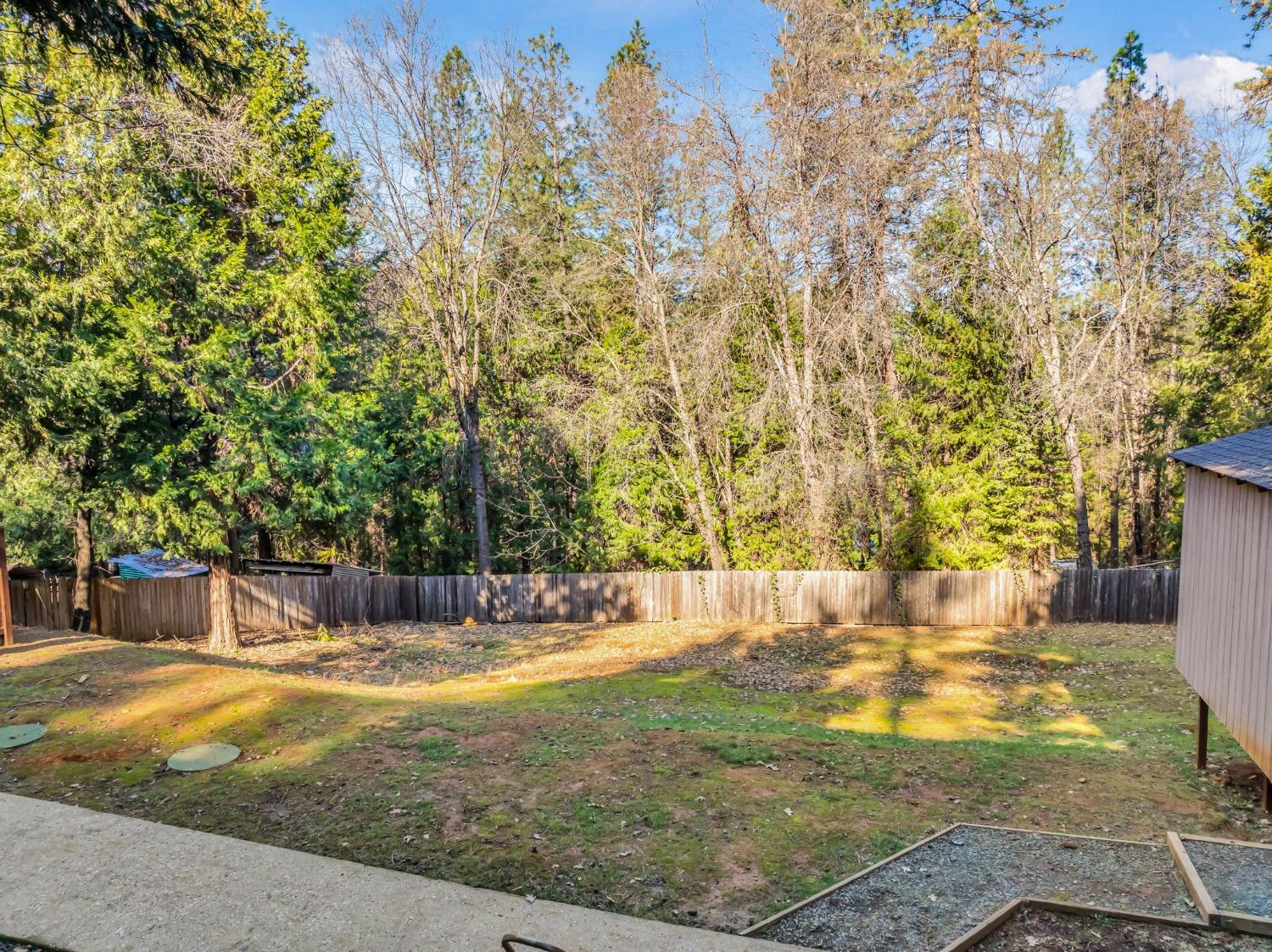 10092 Smith Road Grass Valley, CA 95949 - Photo 53 of 58 a view of a yard with a tree