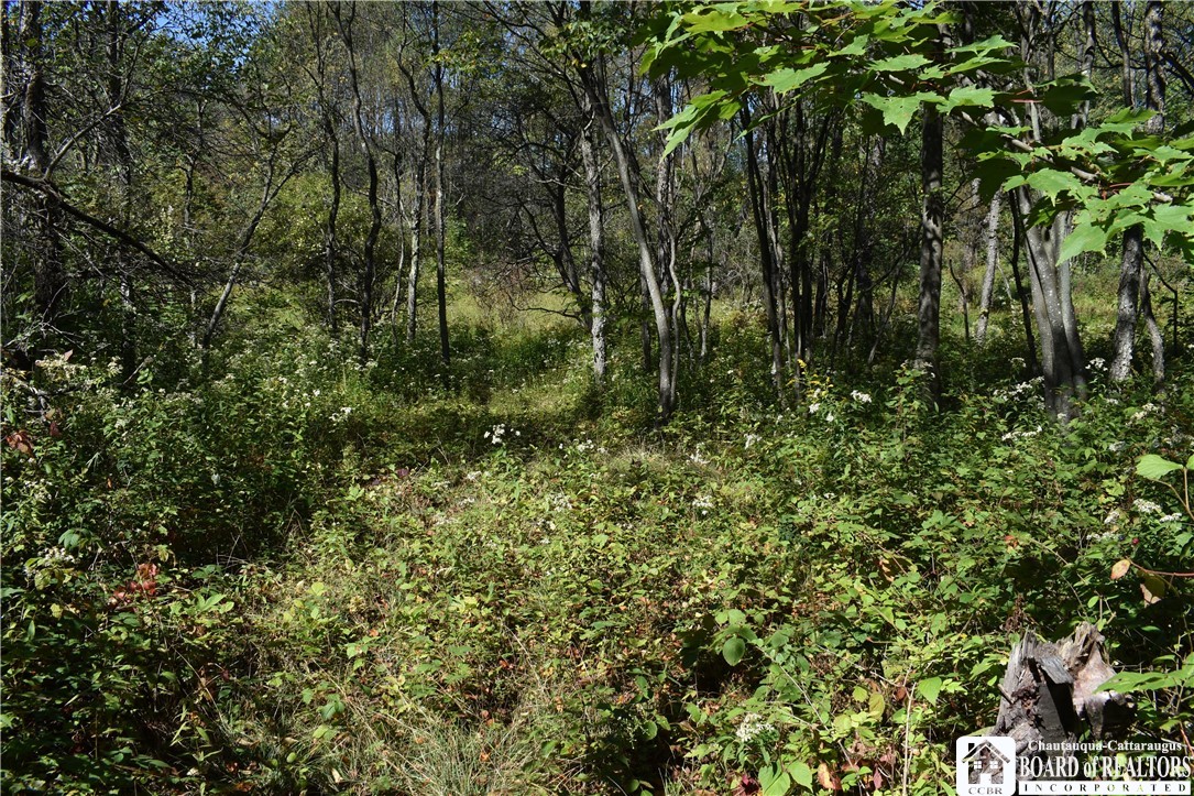 Round Top Road Forestville, NY 14062 - Photo 20 of 20 Gallery Image 20