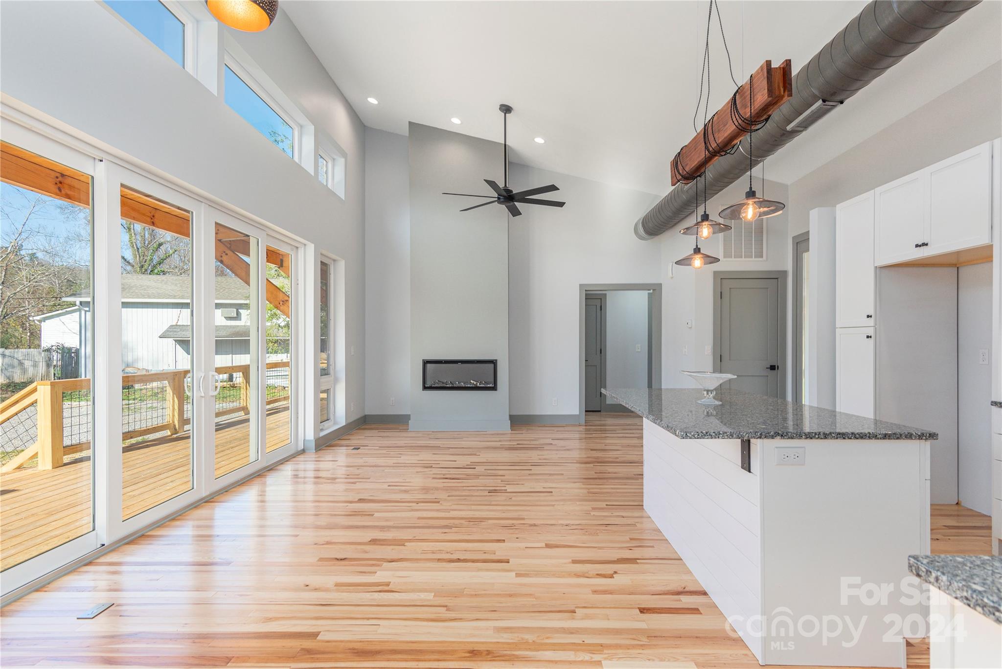 924 Riceville Road Asheville, NC 28805 - Photo 3 of 27 Gallery Image 3