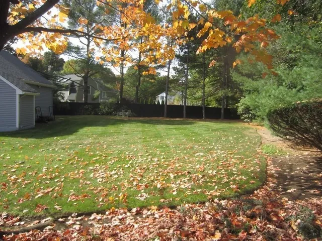 a view of a back yard