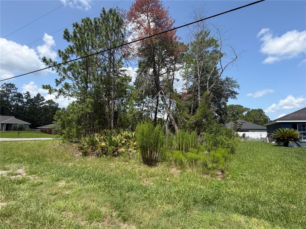 Tbd Southwest 63rd Terrace Ocala, FL 34473 - Photo 4 of 8