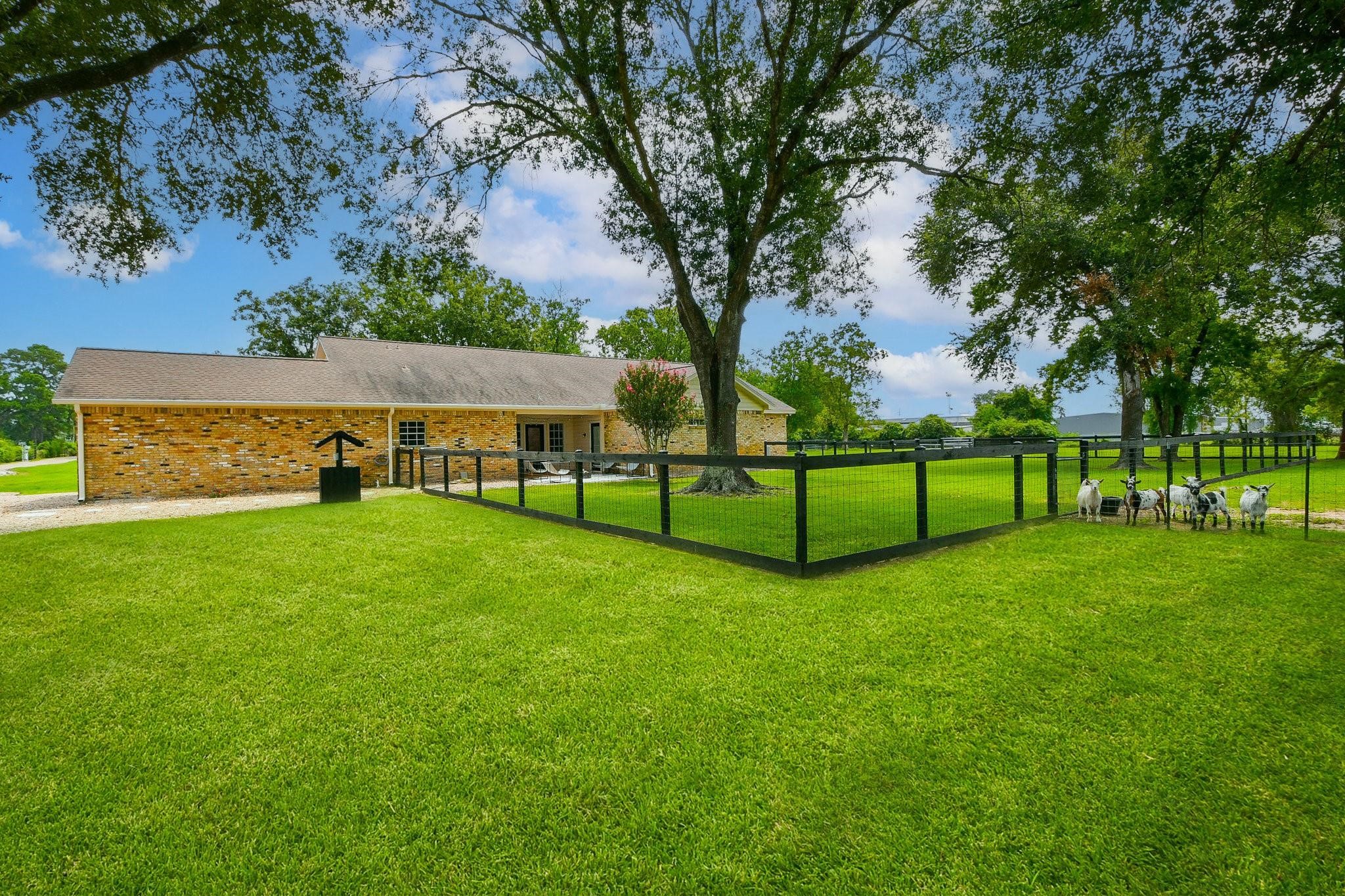 22035 Buescher Road Tomball, TX 77377 - Photo 29 of 43 a view of a park with large trees