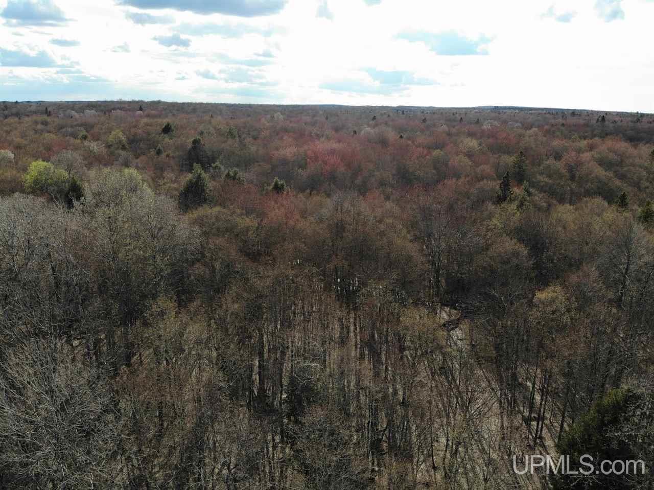 109 Orange Road, Unit 109 Michigamme, MI 49861 - Photo 12 of 13