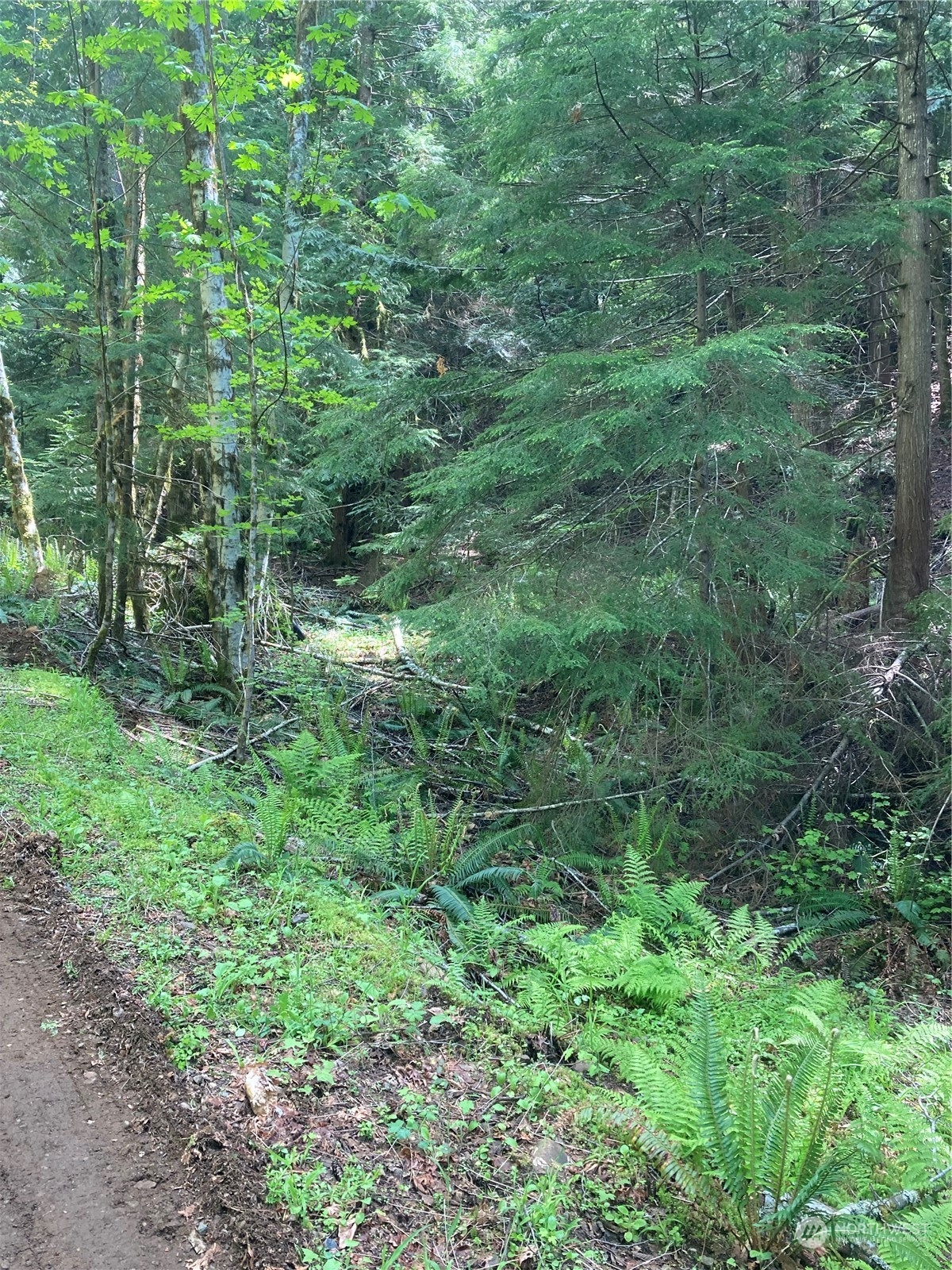 13 North Dow Rdg Road Hoodsport, WA 98548 - Photo 5 of 5