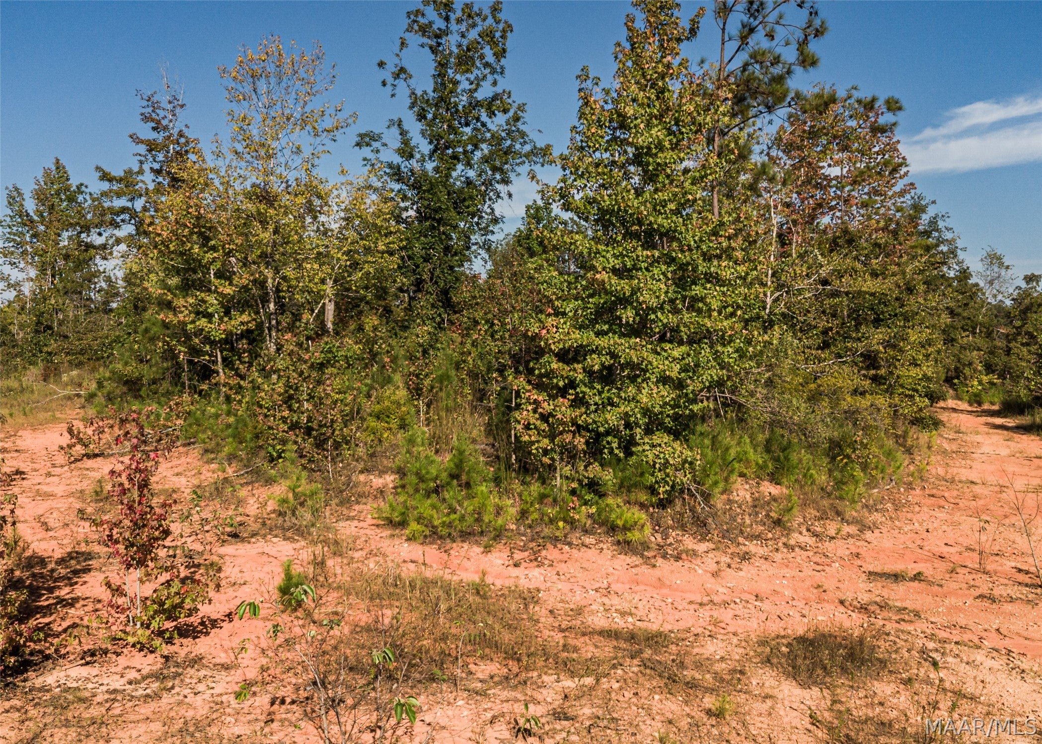 0 County Road 14 Road Equality, AL 36026 - Photo 8 of 11 Gallery Image 8
