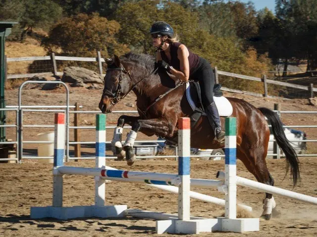 $80,000 | 1482 American River Trail, Cool, CA 95614