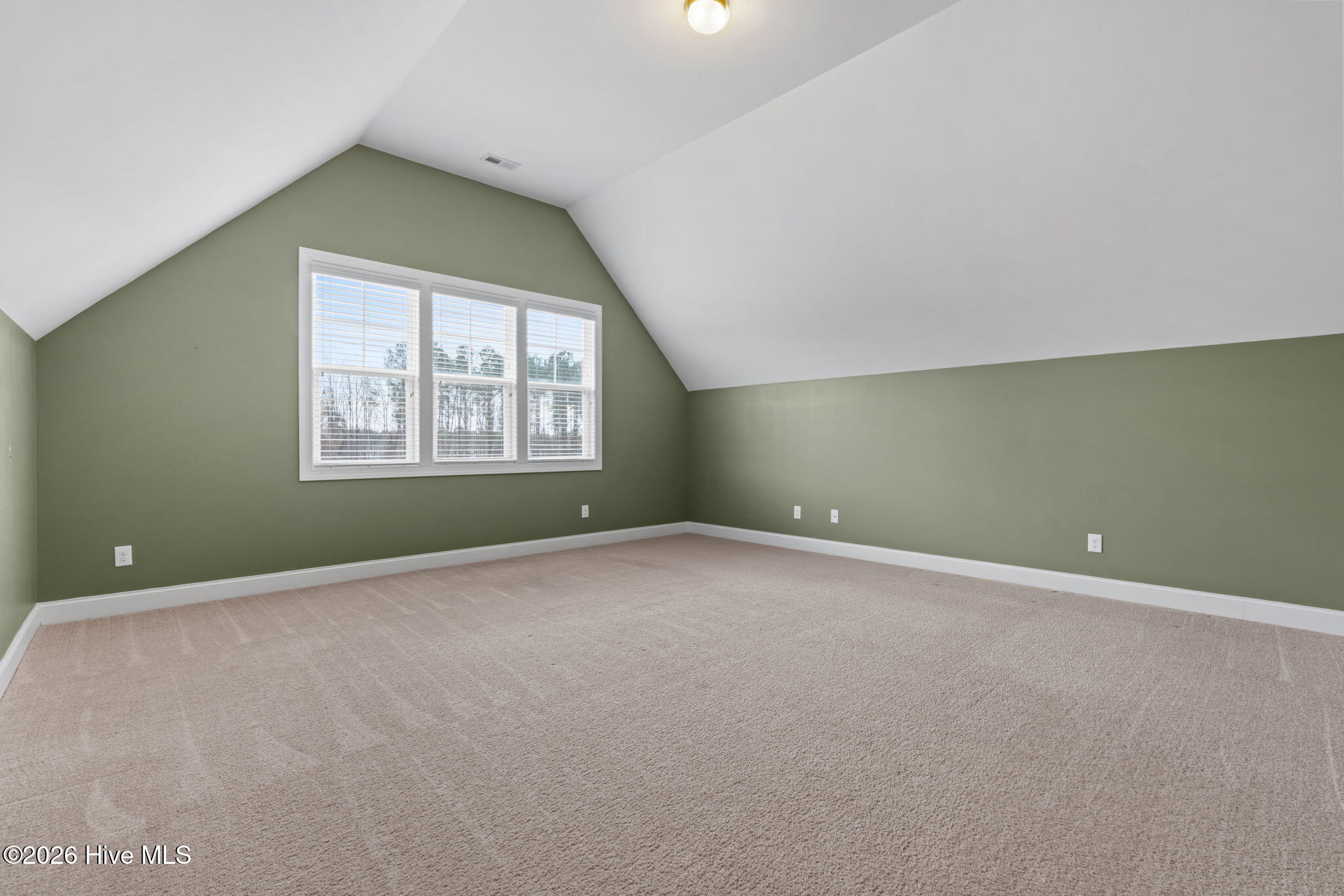 147 Farmhouse Lane Carthage, NC 28327 - Photo 25 of 39 35-web-or-mls-DSC04458
