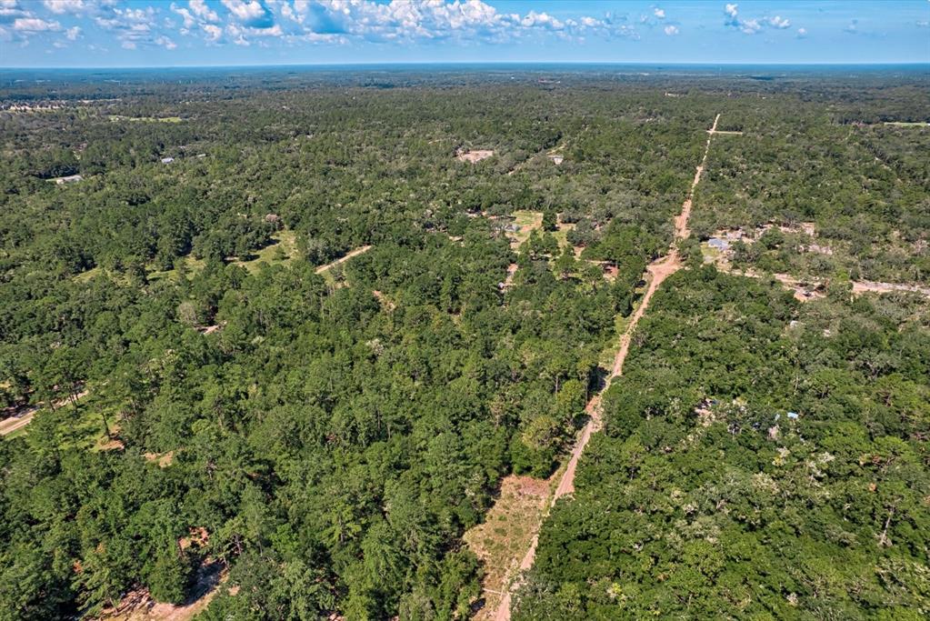 Tbd Northeast 82nd Place Bronson, FL 32621 - Photo 1 of 3