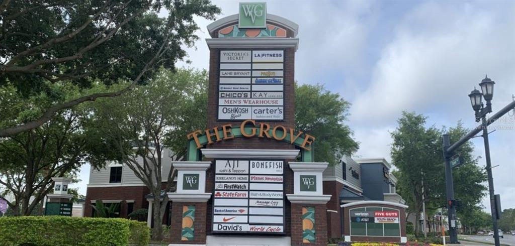 11745 Via Lucerna Circle Windermere, FL 34786 - Photo 57 of 59