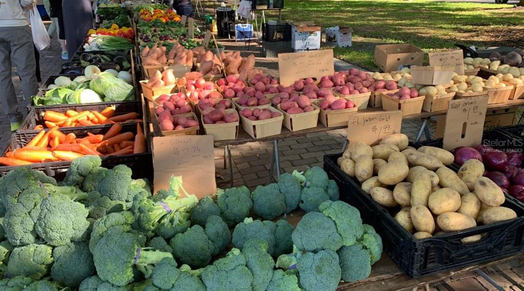 11745 Via Lucerna Circle Windermere, FL 34786 - Photo 59 of 59