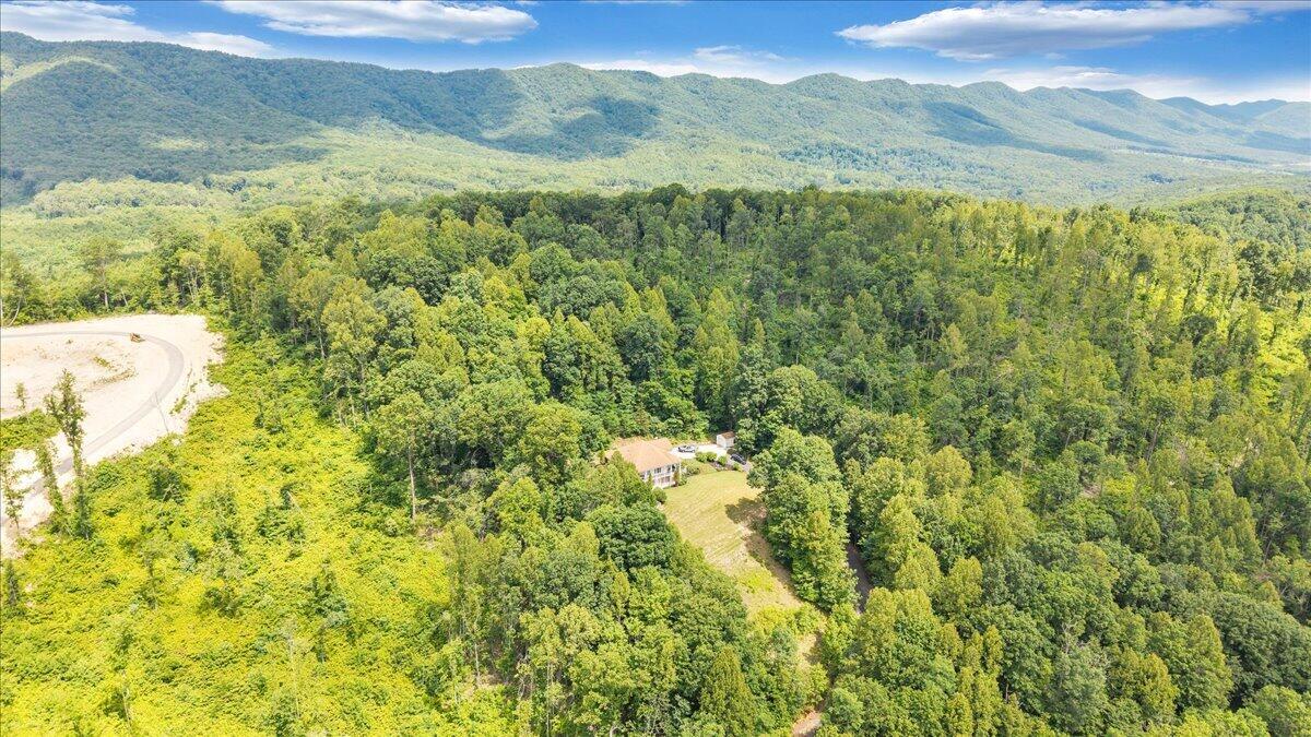11010 Catawba Road Troutville, VA 24175 - Photo 59 of 68 59-DJI_20260615123234_0010_D