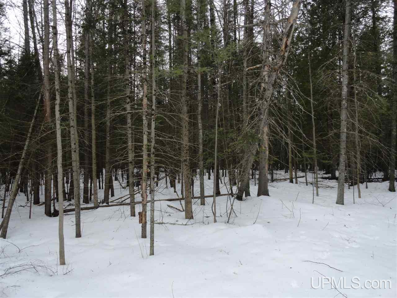 416 (23rd Road Gladstone, MI 49837 - Photo 14 of 36