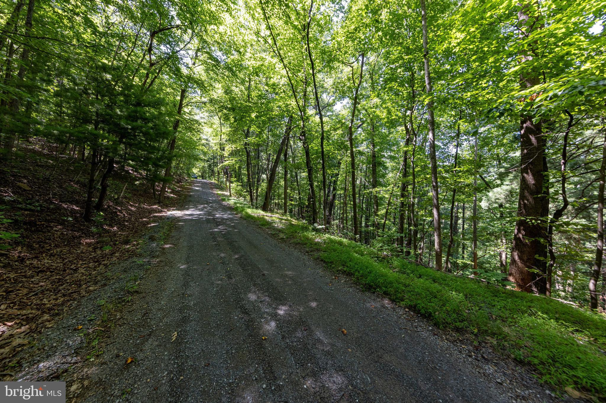 0 Helms Road Stanley, VA 22851 - Photo 32 of 50