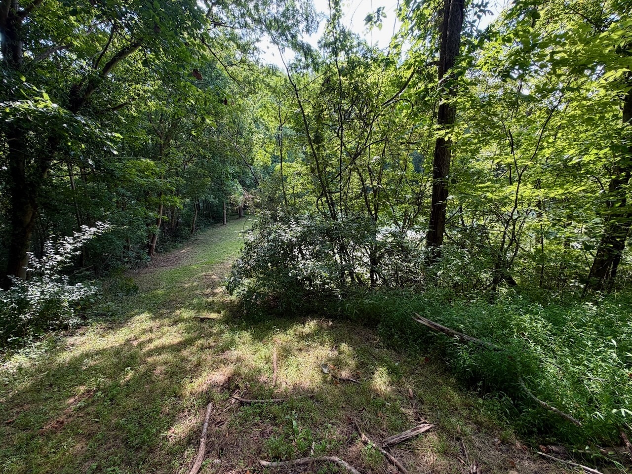 68 Lost Ranch Road Murphysboro, IL 62966 - Photo 7 of 11