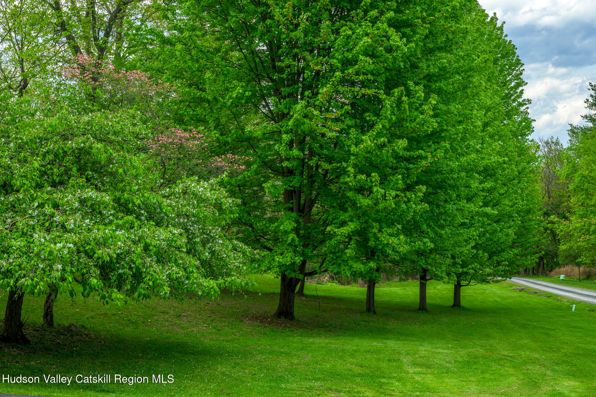 29 Edgemere Hill Road Catskill, NY 12414 - Photo 31 of 38 a view of yard with grass and a trees