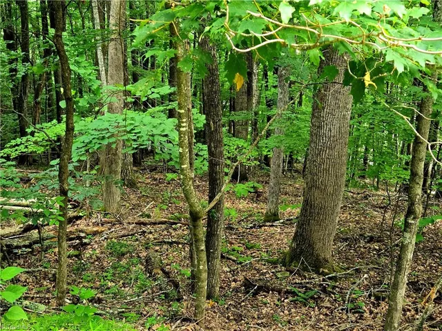 $130,000 | Tbd Red Fox Trail, Boone, NC 28607