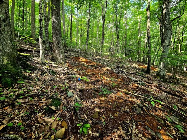 $130,000 | Tbd Red Fox Trail, Boone, NC 28607