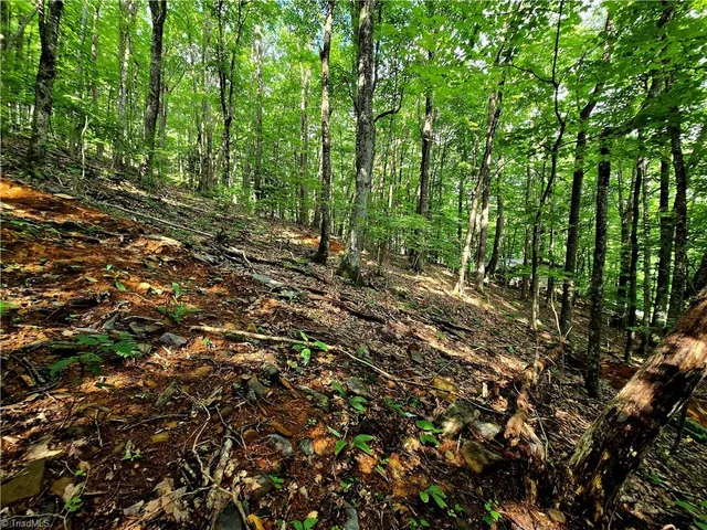 $130,000 | Tbd Red Fox Trail, Boone, NC 28607