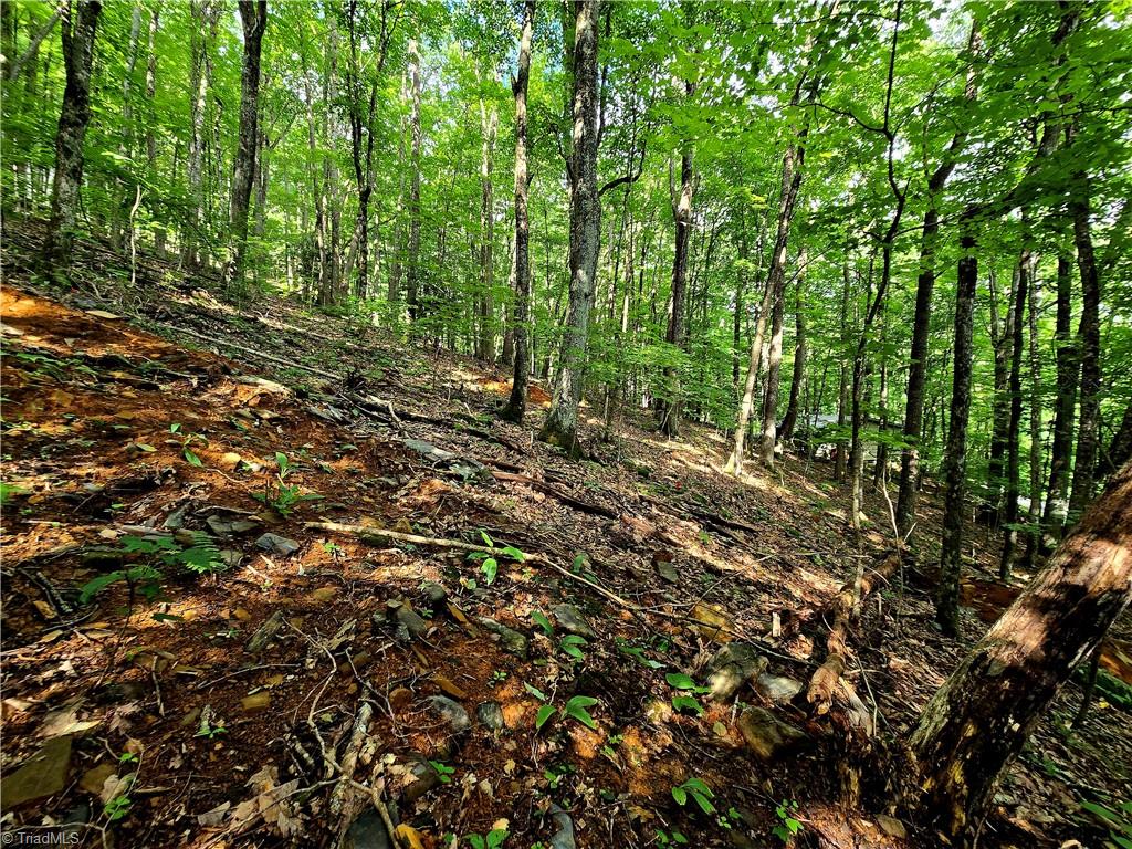 Tbd Red Fox Trail Boone, NC 28607 - Photo 12 of 16